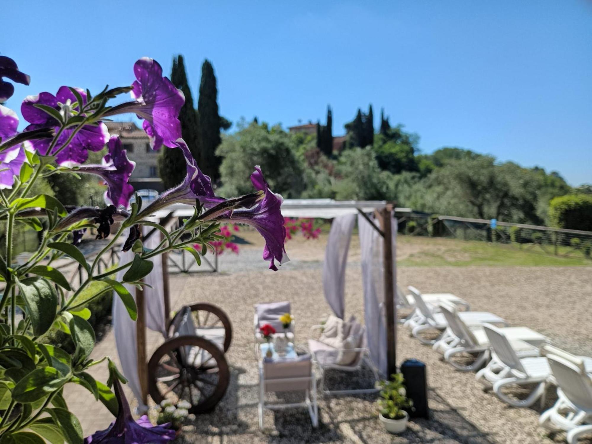 Villa Degli Olivi Nature Siena Exterior foto